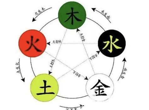 木和水的关系|郭极中：解析五行（木、火、土、金、水）相克的理论。